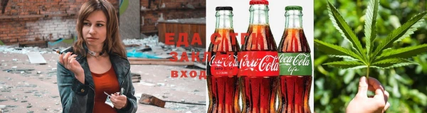 прущие грибы Горно-Алтайск
