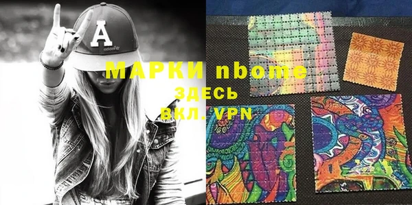 прущие грибы Горно-Алтайск