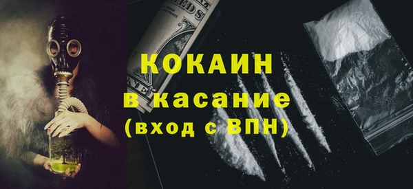 гашик Горняк