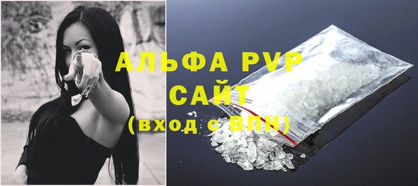 гашик Горняк