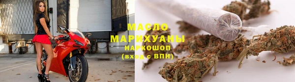 гашик Горняк