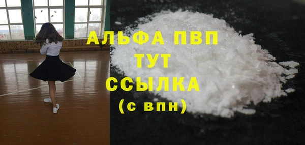прущие грибы Горно-Алтайск