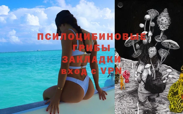 гашик Горняк