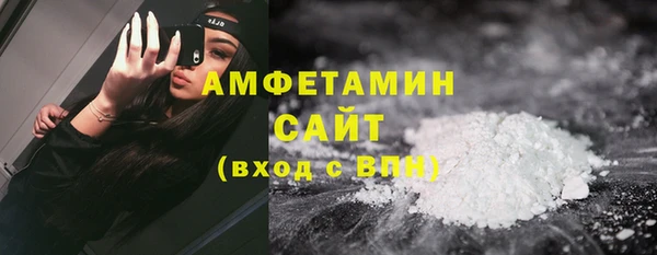 прущие грибы Горно-Алтайск