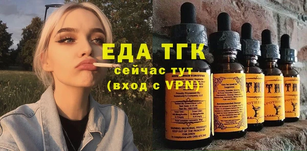 гашик Горняк