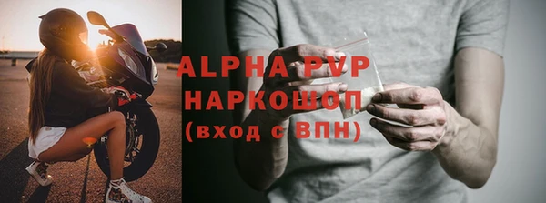 индика Тавда
