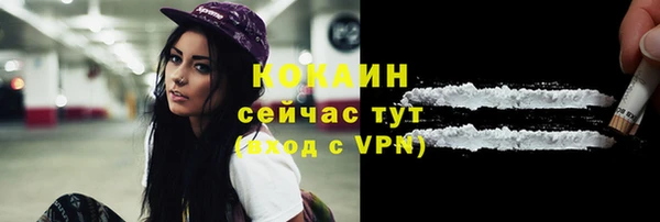 спайс Сясьстрой