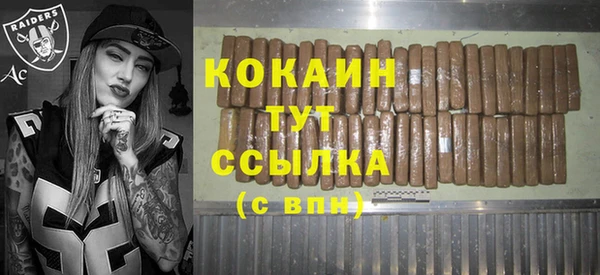гашик Горняк
