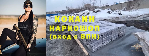 гашик Горняк