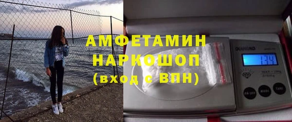 гашик Горняк