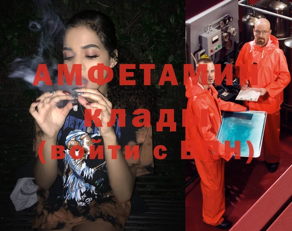 прущие грибы Горно-Алтайск