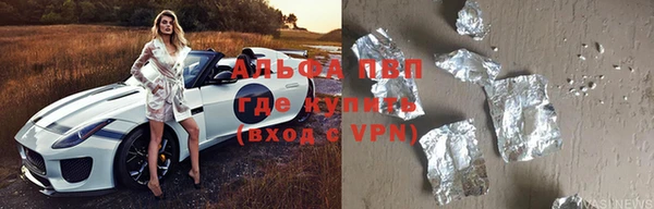 гашик Горняк
