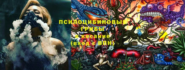 прущие грибы Горно-Алтайск